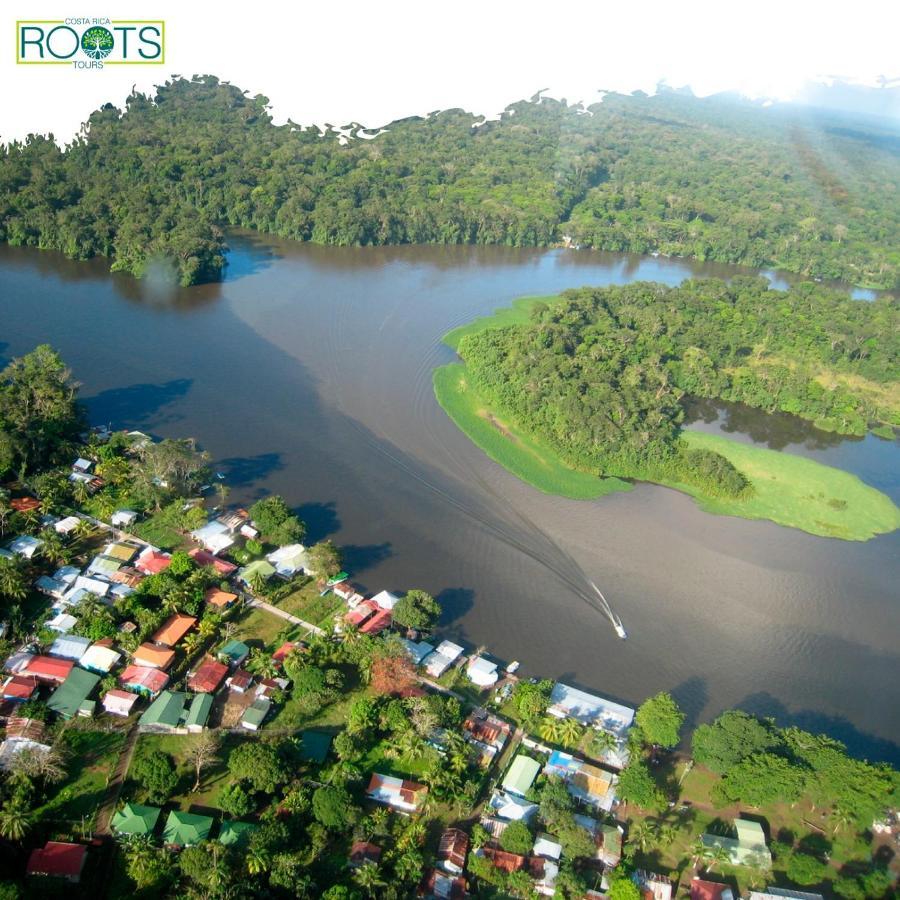 Miss Miriam. Hotel Frente Al Mar Tortuguero Ngoại thất bức ảnh