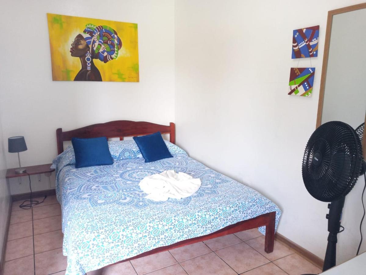 Miss Miriam. Hotel Frente Al Mar Tortuguero Ngoại thất bức ảnh